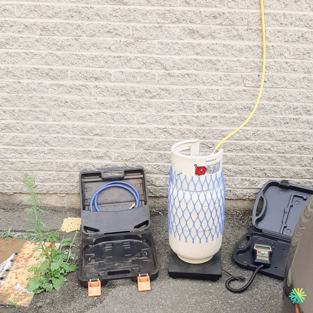 Retour d’expérience : Comment une clinique vétérinaire de Longueuil a sauvé ses animaux grâce à une climatisation parfaite