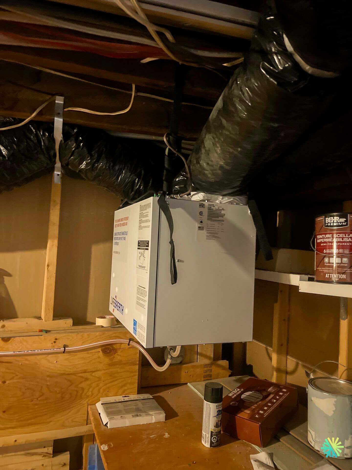 La méthode AirGreen : Comment transformer l’air de votre condo en air de montagne pur en 24h
