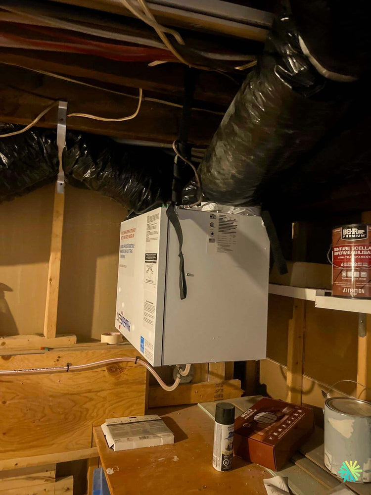 La méthode AirGreen : Comment transformer l’air de votre condo en air de montagne pur en 24h