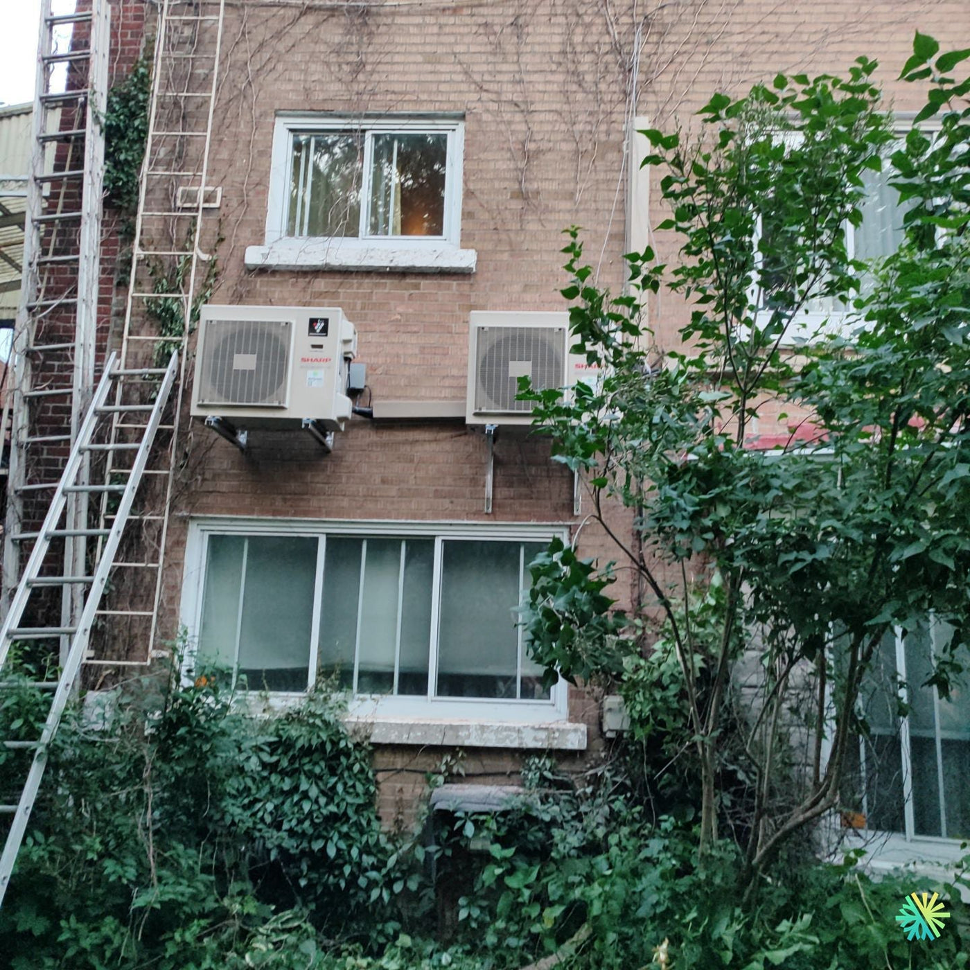Installation de deux thermopompes murales Sharp ZU1 à Rosemont–La Petite-Patrie