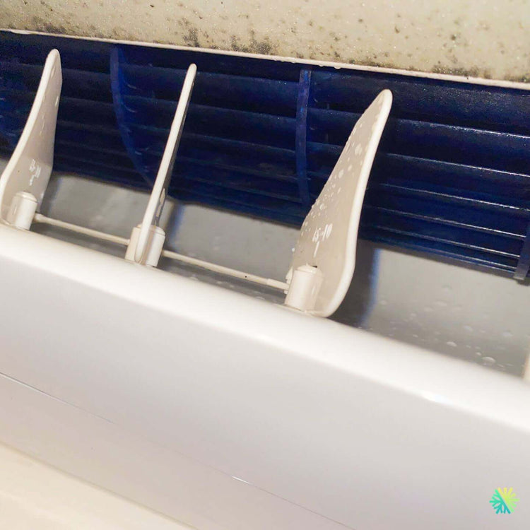 L’histoire surprenante d’un climatiseur mural retrouvé intact après une inondation majeure à Montréal