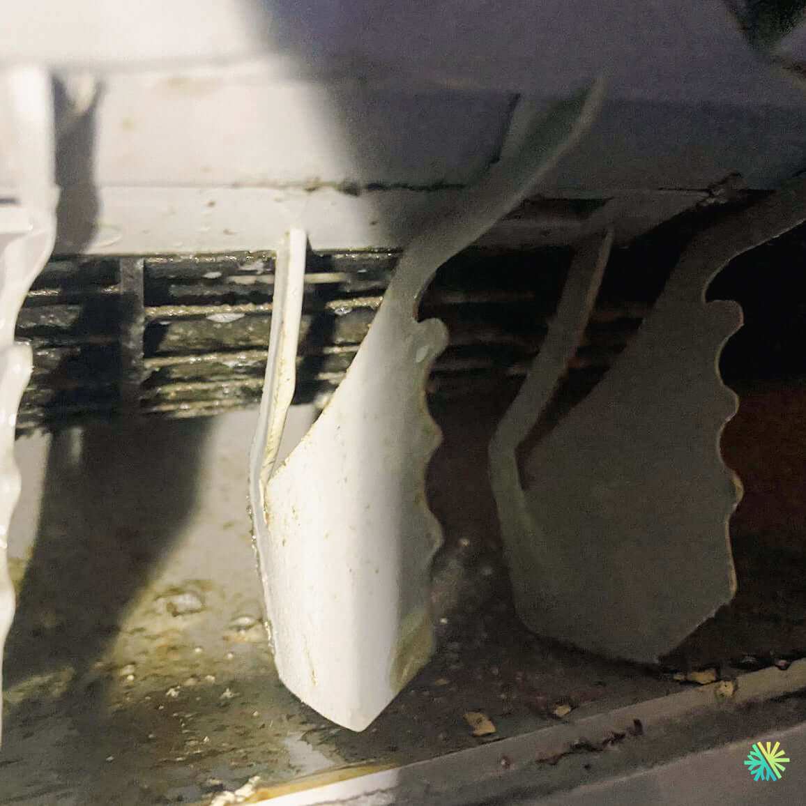 Le danger caché des moisissures dans votre climatisation (témoignages AirGreen authentiques)