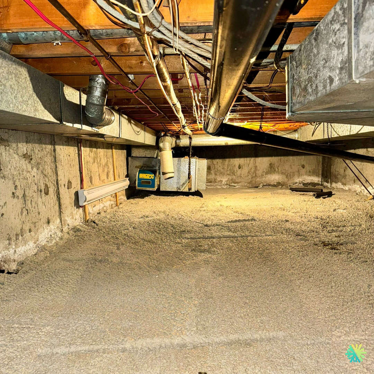 Test AirGreen : Combien de polluants respirez-vous quotidiennement chez vous sans le savoir ?