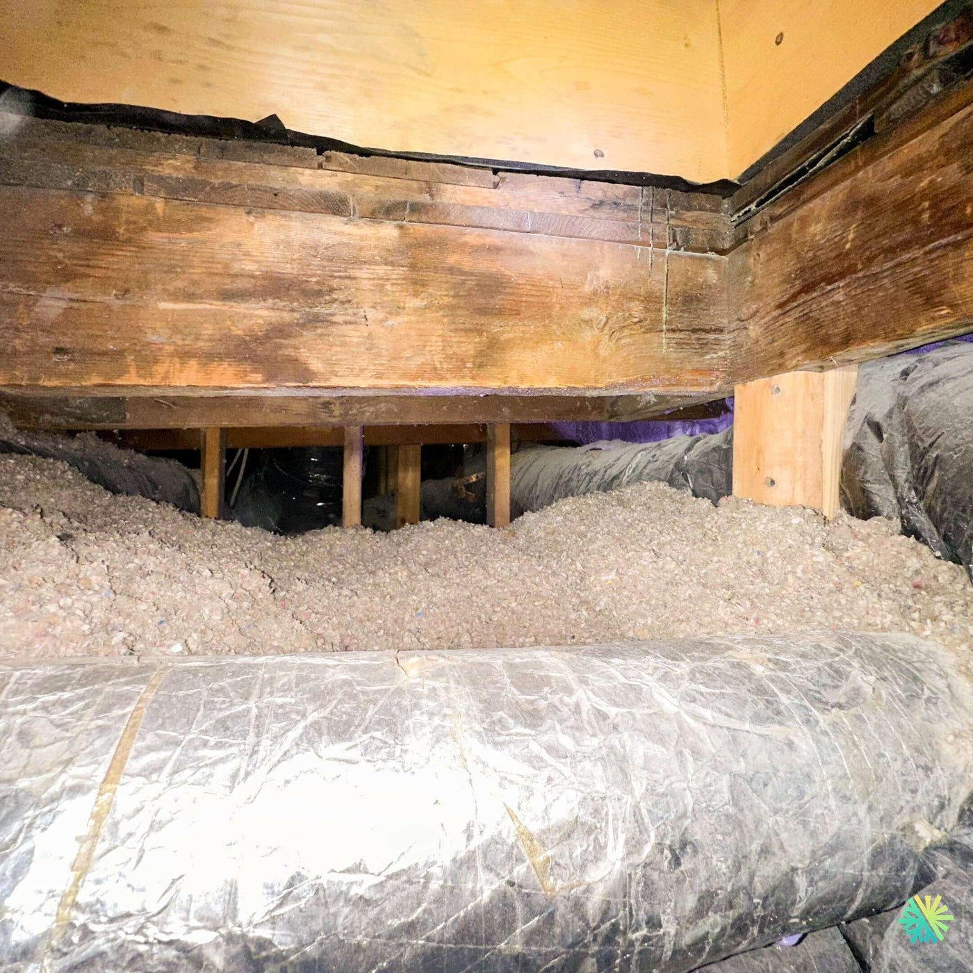 Pollution intérieure invisible : Le scandale que personne n'ose dénoncer (étude exclusive AirGreen)