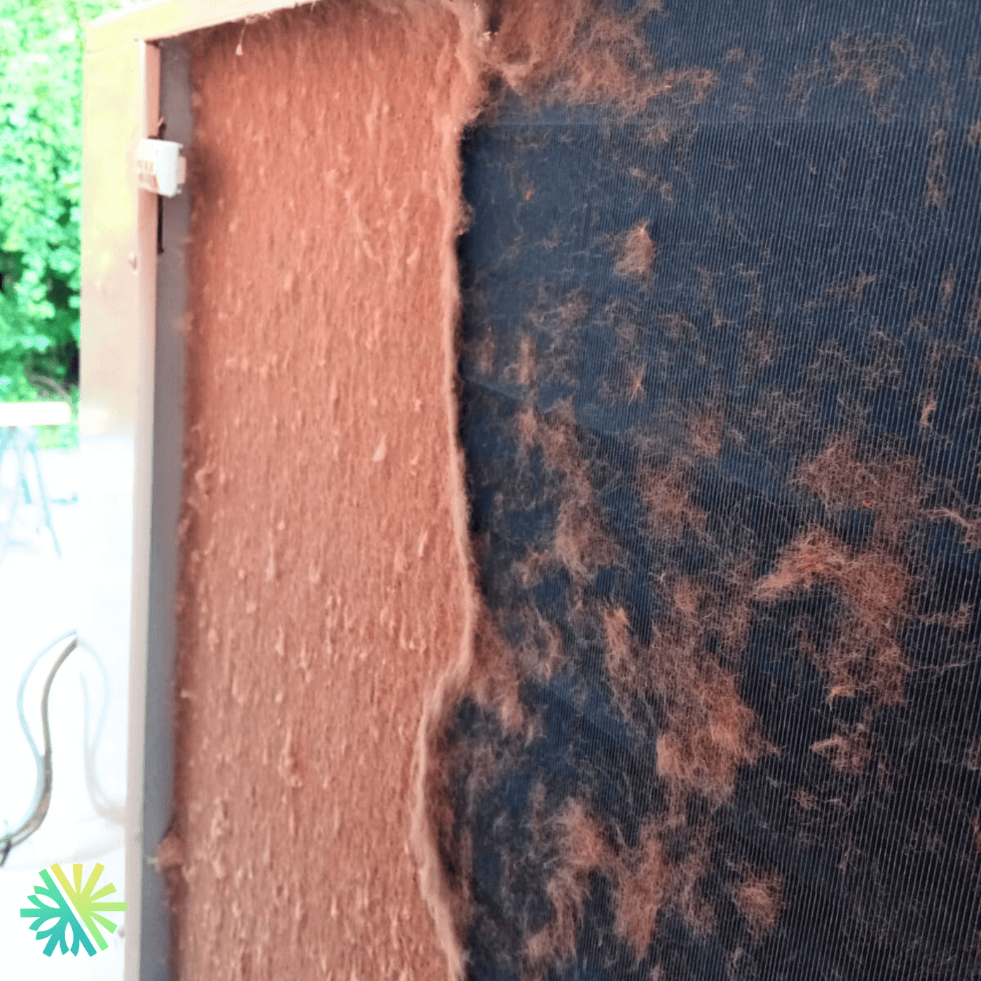 Moisissures et ventilation : l'histoire d'un sous-sol sauvé de justesse à Longueuil