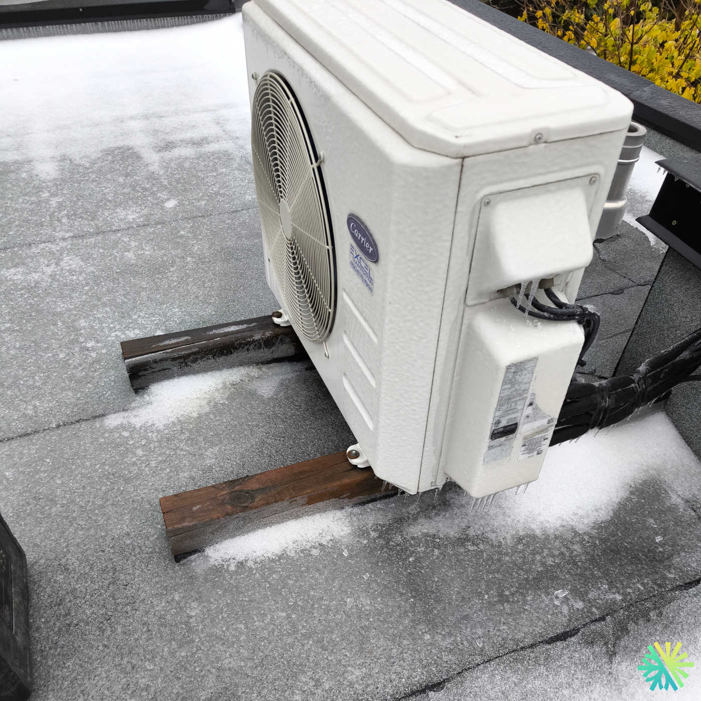 Service et entretien d’une thermopompe murale Carrier à Ville-Marie (Montréal) : diagnostic complet sur une unité extérieure exposée au gel