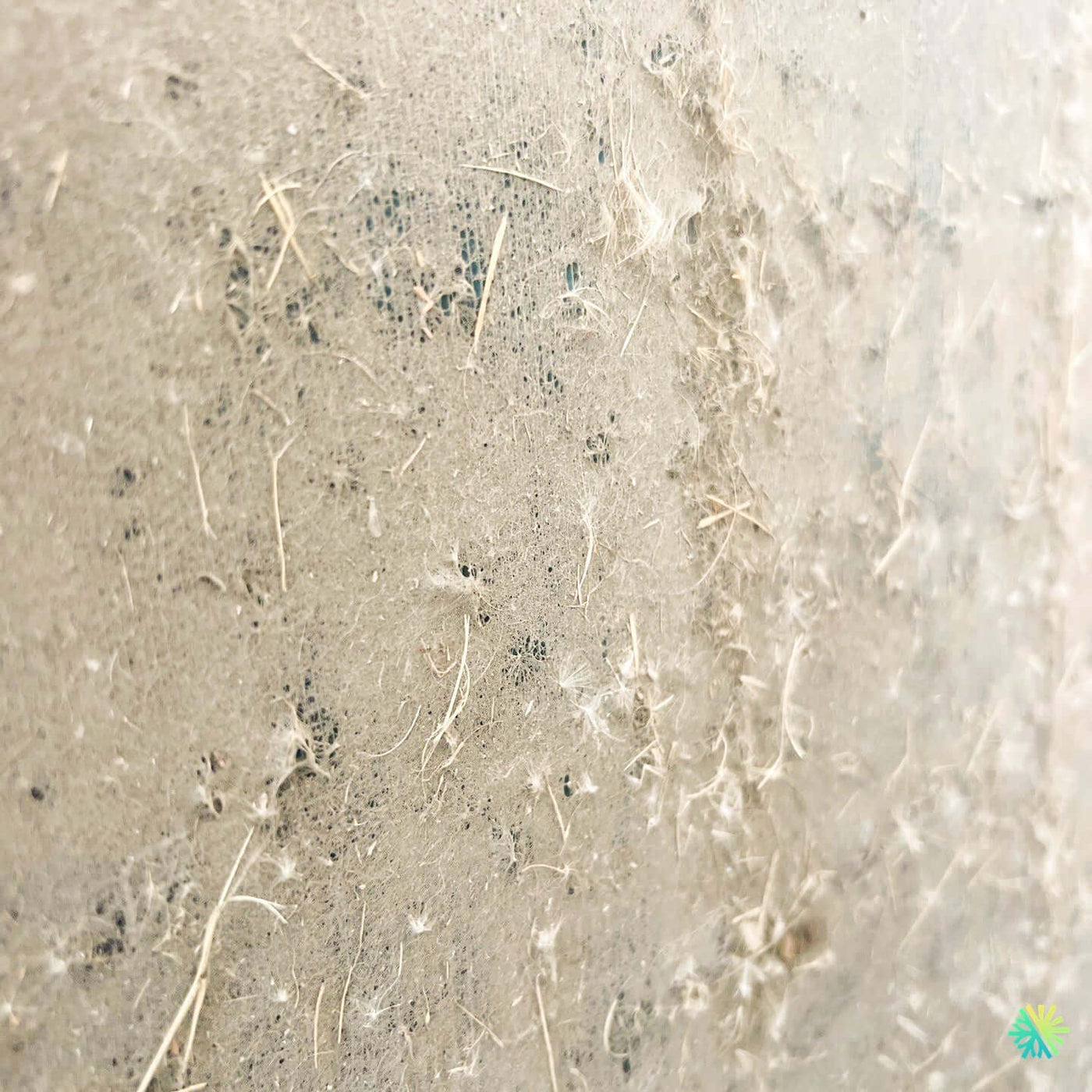 La vérité sur les filtres bas de gamme : Pourquoi ils peuvent ruiner votre santé (photos choc incluses)