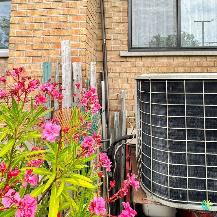 Appel de Service pour une Thermopompe Centrale à Auteuil
