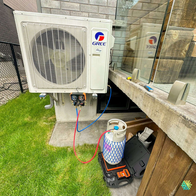Canicule extrême : comment un climatiseur mural haut de gamme a permis à un refuge animalier de Longueuil de survivre