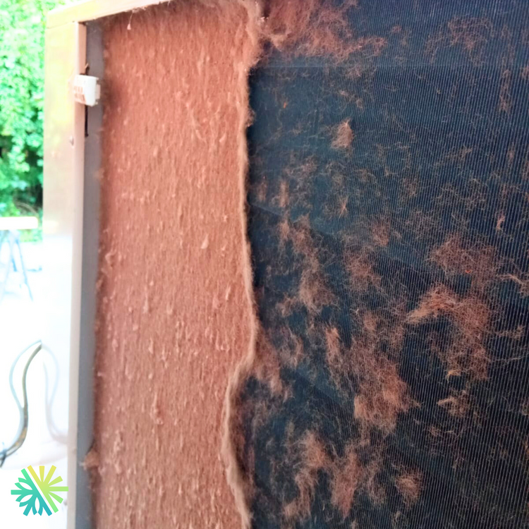 AirGreen répond : faut-il vraiment nettoyer sa thermopompe chaque année ? (Découvrez la vérité)