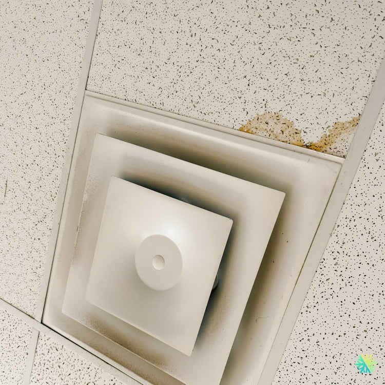 Climatisation pour entreprises technologiques : comment éviter le crash serveur en pleine canicule