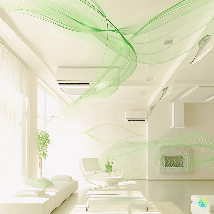 Incroyable mais vrai : ils pensaient respirer un air sain jusqu’à ce qu’un test révèle la vérité (un échangeur d’air a tout changé)