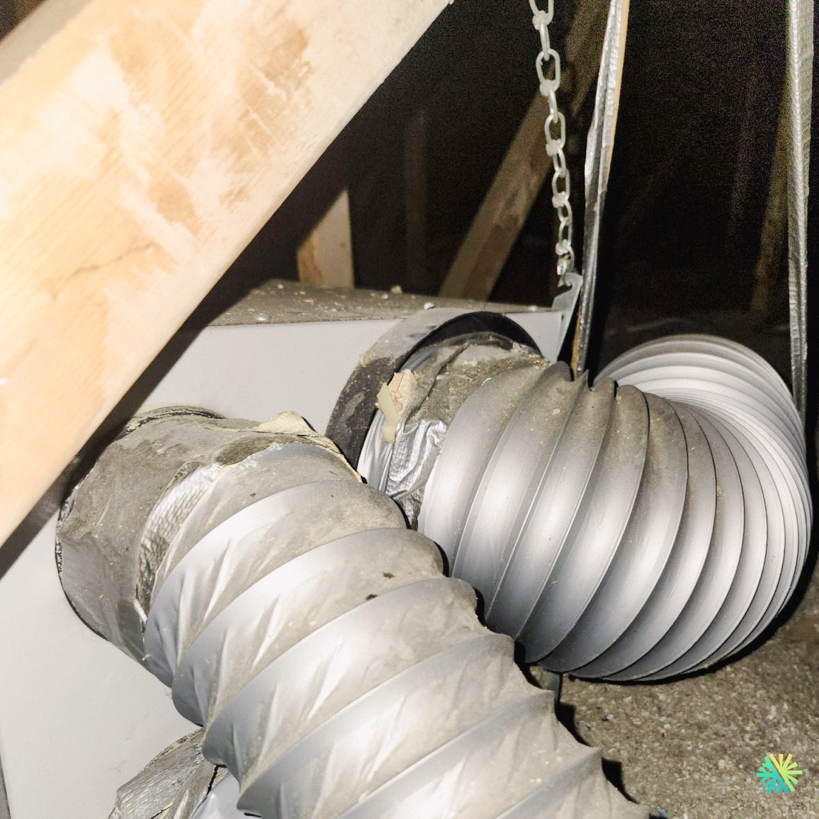 L'incroyable histoire d'une ventilation défectueuse à Montréal : comment un hamster a révélé le problème