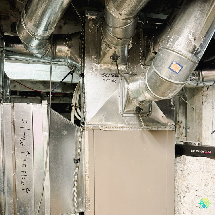 « Maison hantée » à Montréal ou simple problème de ventilation ? Découvrez la réponse surprenante