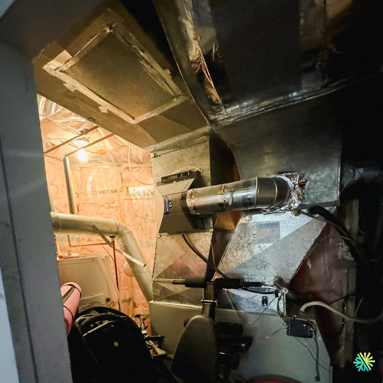 Peut-on tomber malade à cause de sa ventilation ? Le cas d’une maison sur la Rive-Sud
