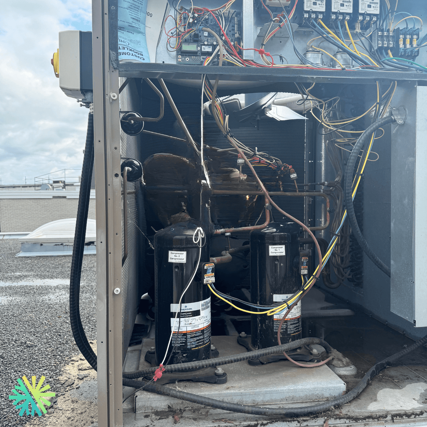 Incroyable découverte : AirGreen trouve un nid d’oiseaux dans une ventilation de la Rive-Nord (cas réel !)