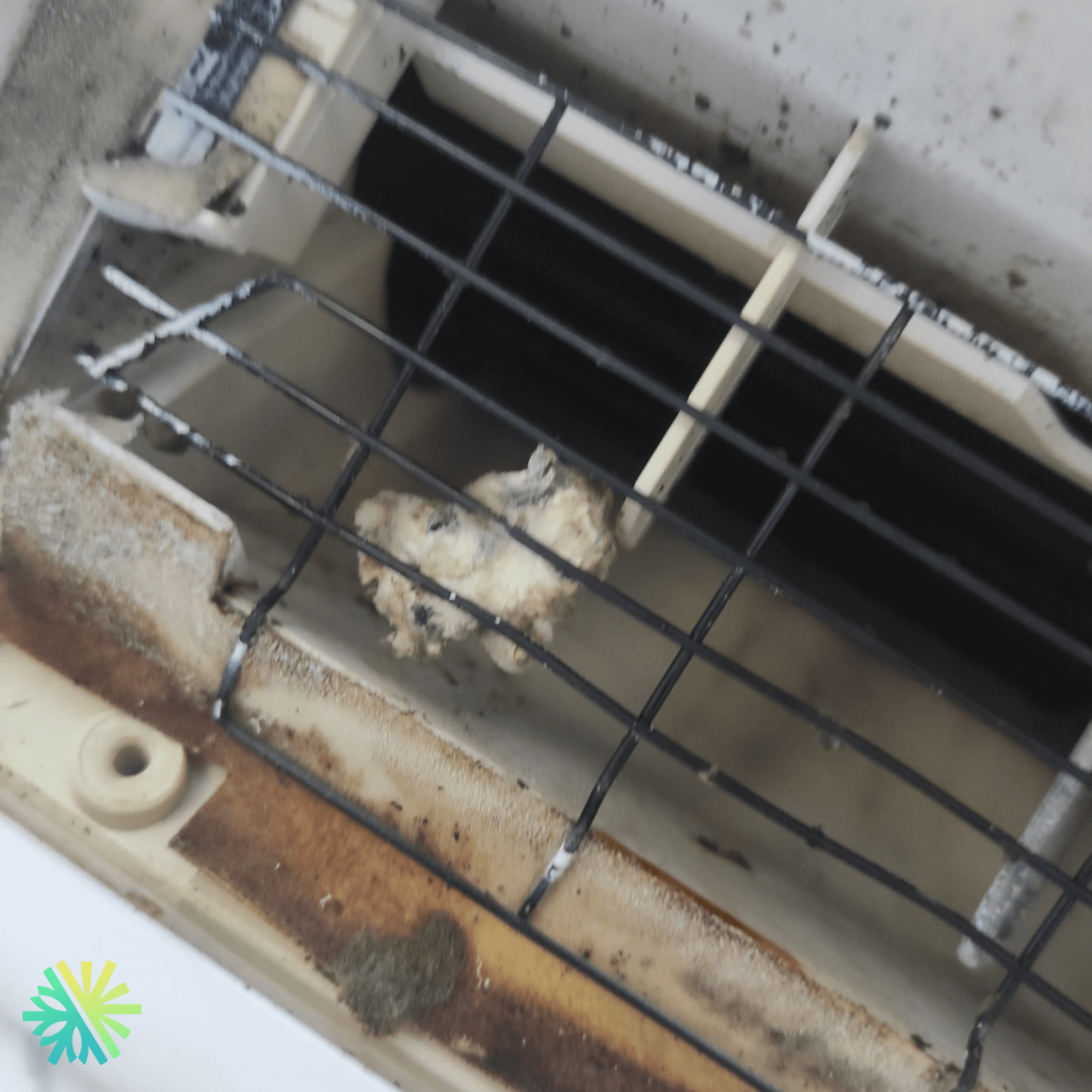 Ventilation pour animaux domestiques : le cas étonnant d'une clinique vétérinaire à Laval