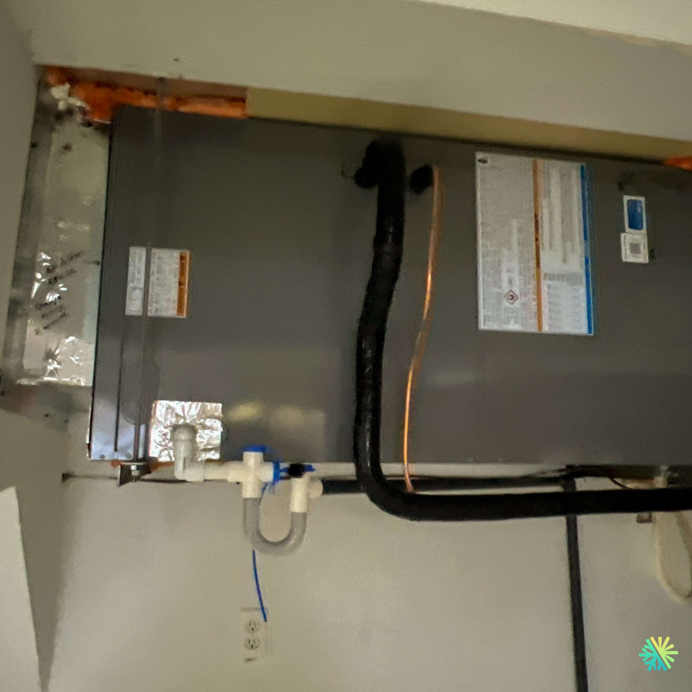 Le mystère de l'humidité persistante à Longueuil enfin résolu grâce à AirGreen