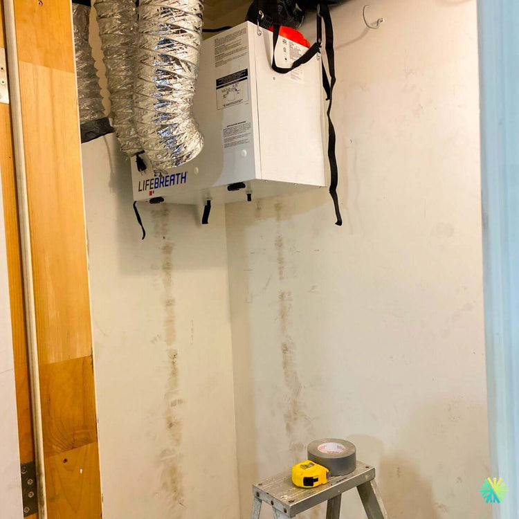 Révélé par AirGreen : La différence surprenante entre une maison bien ventilée et une maison toxique