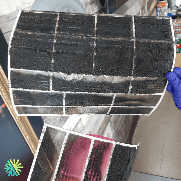 Vous ne croirez jamais ce que les techniciens d’AirGreen ont découvert dans un climatiseur mural non entretenu pendant 5 ans