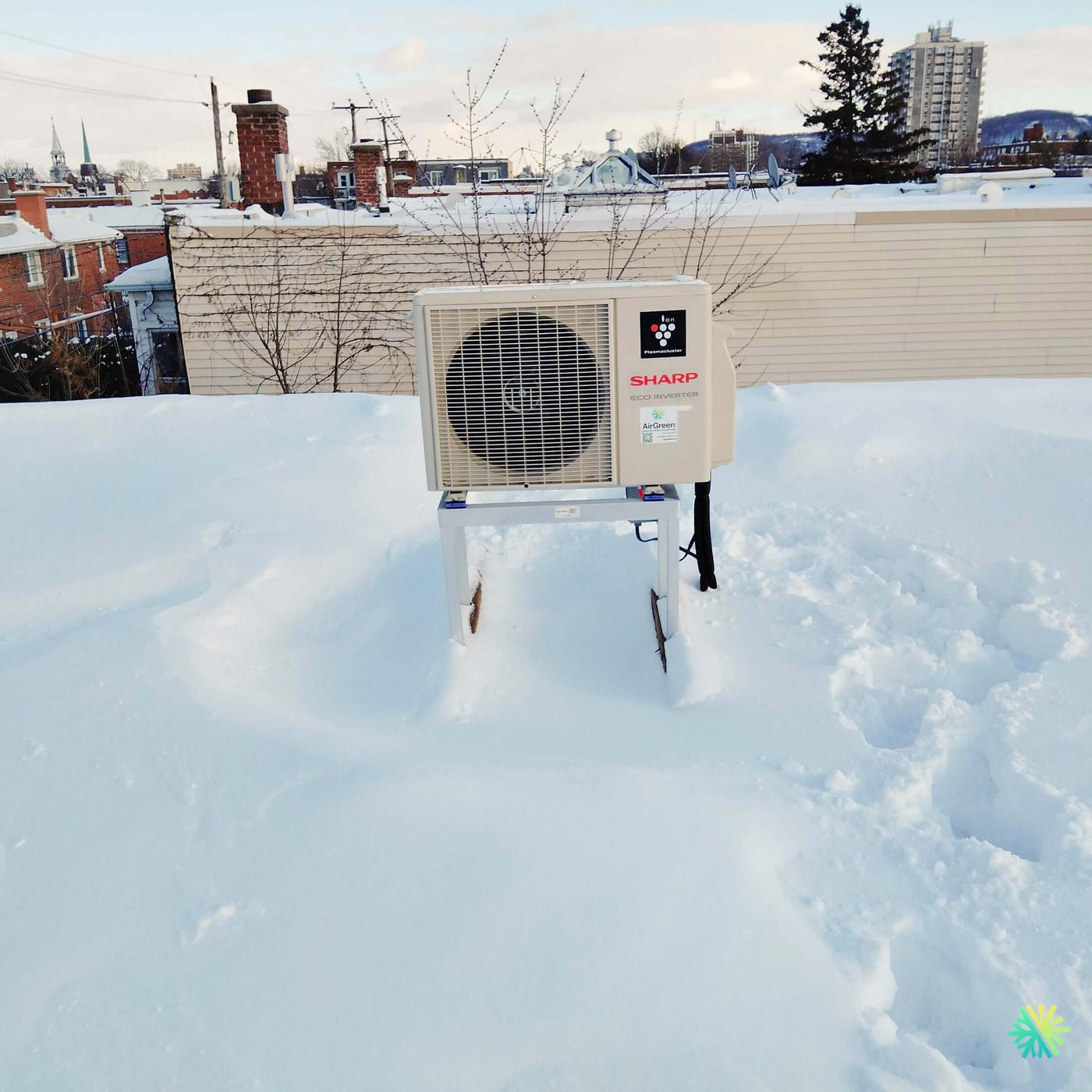Une performance inégalée au cœur de l’hiver montréalais