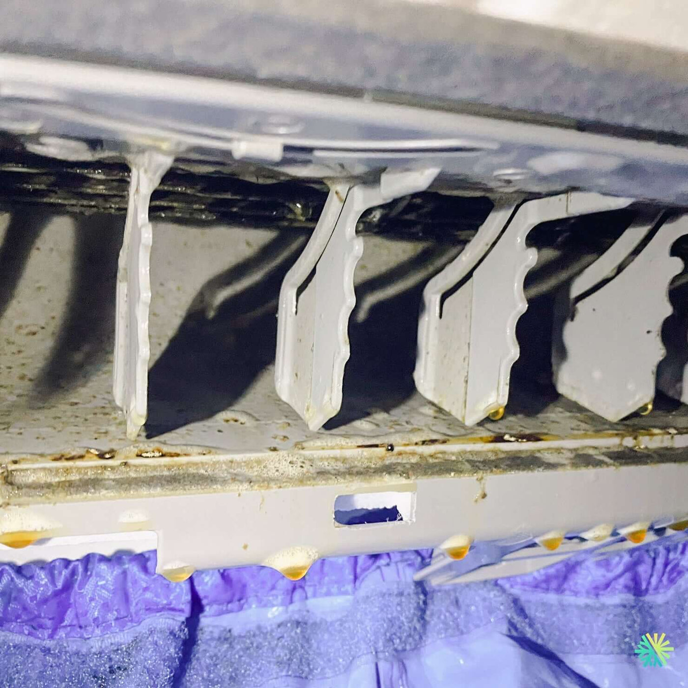 AirGreen dévoile : les erreurs de nettoyage HVAC qui coûtent cher aux propriétaires résidentiels (avec statistiques précises)