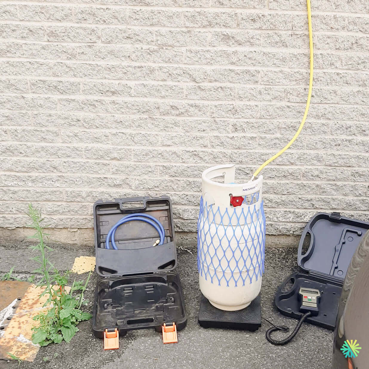 Retour d’expérience : Comment une clinique vétérinaire de Longueuil a sauvé ses animaux grâce à une climatisation parfaite