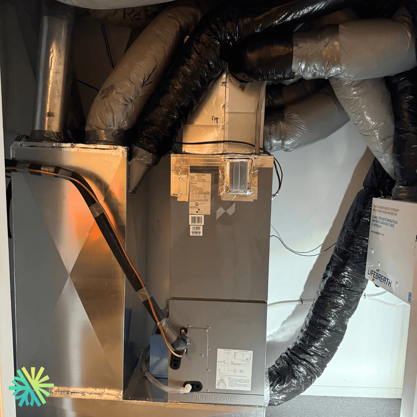 Rénovation ratée à Montréal : comment une mauvaise ventilation a failli coûter une fortune à ces propriétaires