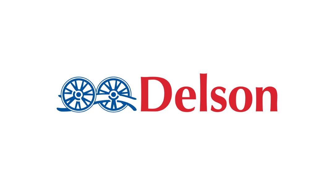 Delson company logo featuring stylized blue wheels and red lettering on a white background.